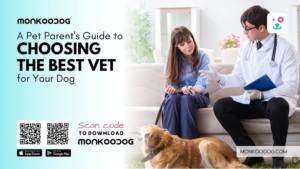 A Pet Parent's Guide to Choosing the Best Vet for Your Dog