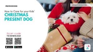 How to Care for your Kids' Christmas Present Dog