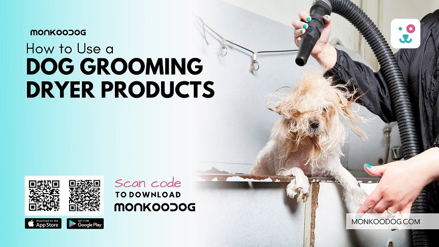 How to Use a Dog Grooming Dryer Products