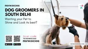 Dog Groomers in South Delhi