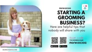 Tips To Start Pet Grooming Business
