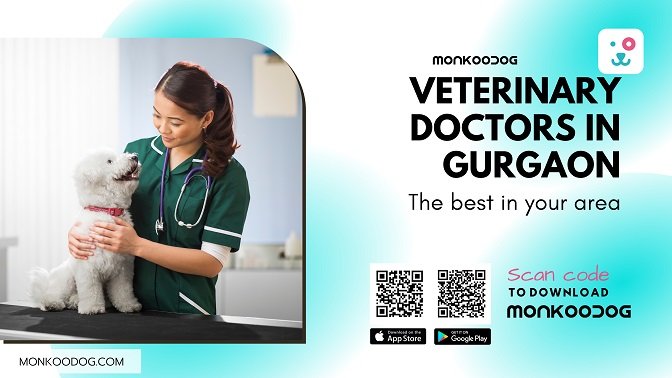 Veterinary Doctors in Gurgaon