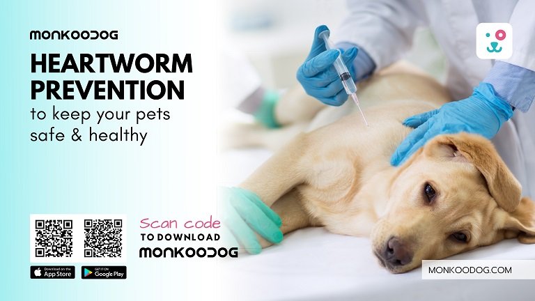 heartworm preventions in dogs