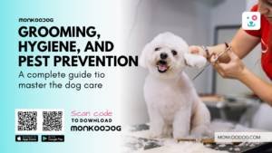 Complete Dog Care Guide