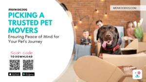 Picking a Trusted Pet Movers - Ensuring Peace of Mind for Your Pet's Journey