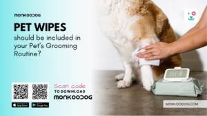 Benefits of pet wipes