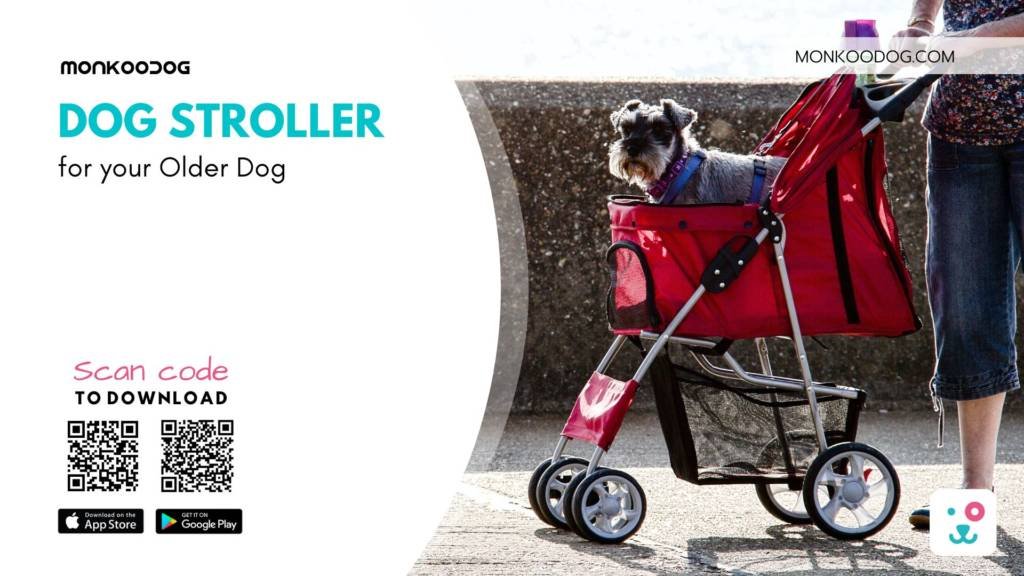 dog stroller for older dog