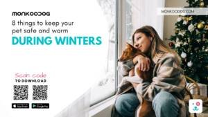 winter to have in winters for your pet