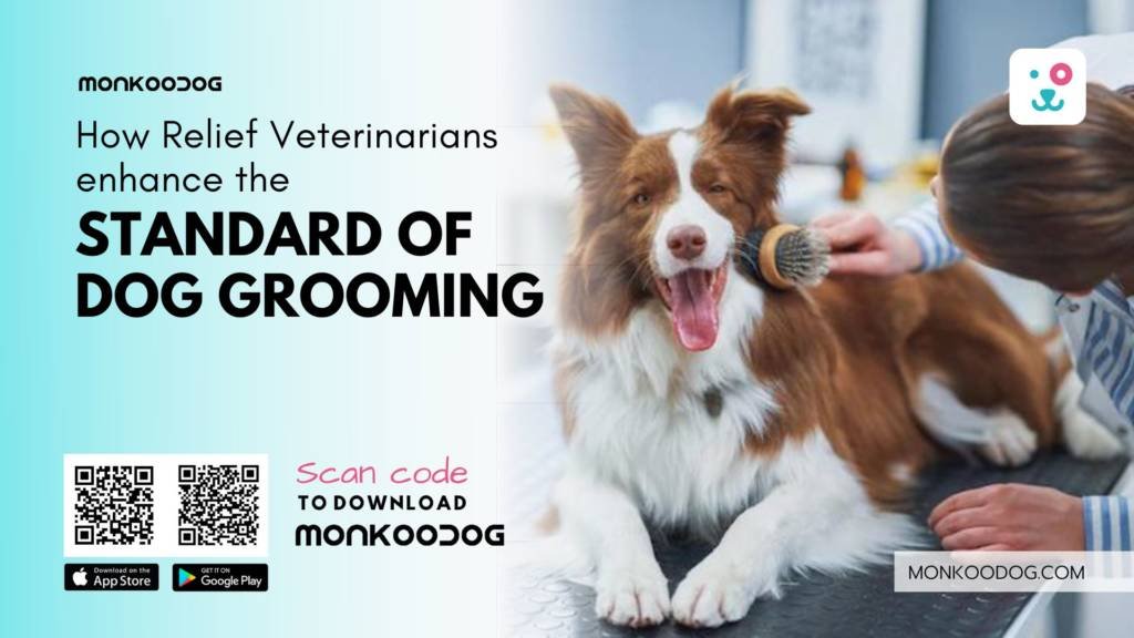 Vet checking dog on grooming table