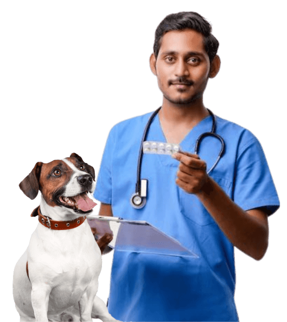 At-home dog vaccination