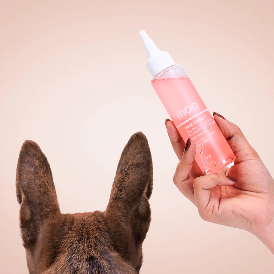 ear-care-solution-for-dirty-pet-ears
