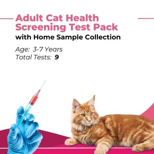 Adult Cat Health Screening Test