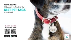 Bets pet tags in australia
