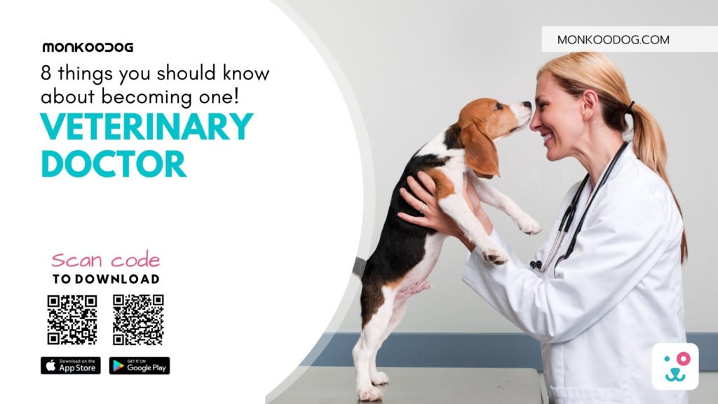 Veterinary doctor 8 things you should know about becoming one