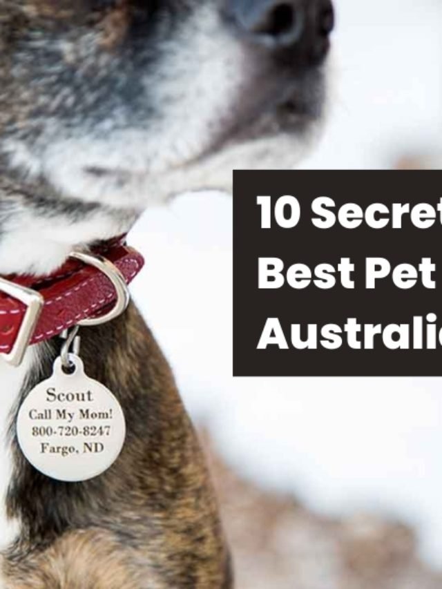 Unveiling the 10 Secrets to Finding the Best Pet Tags in Australia